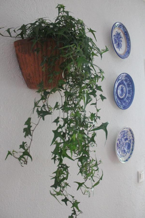 Hedera Apartment Candeleda Bagian luar foto